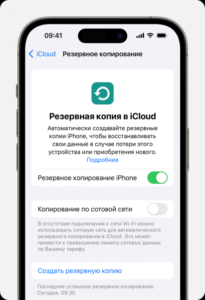  
                  Как настроить автоматическое резервное копирование на iOS
                